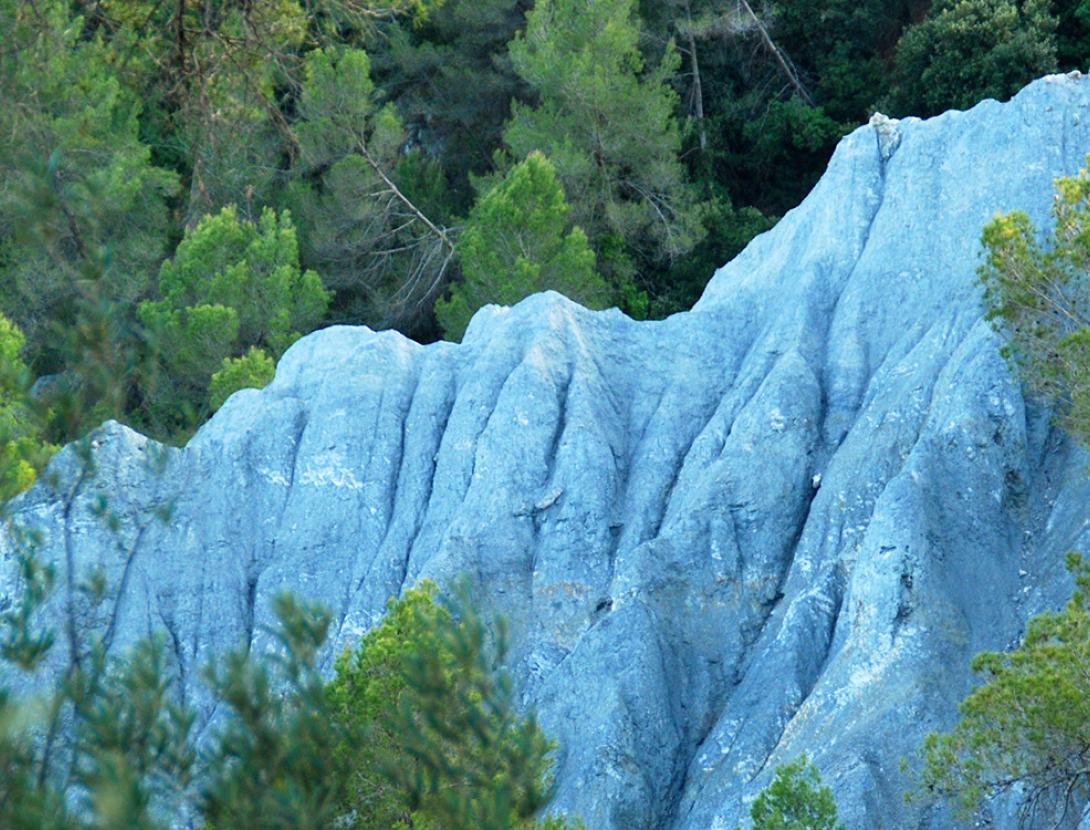 Visita a l'entorn natural de Can Roca i les Roques Blaves d'Esparreguera